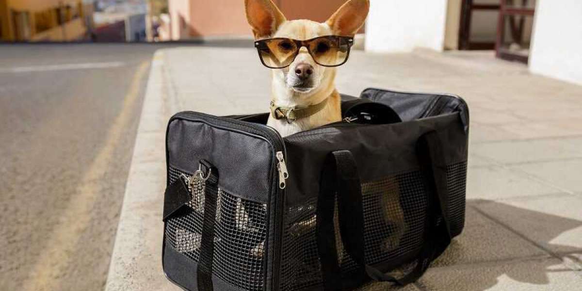 Copa Airlines Pet Requirements