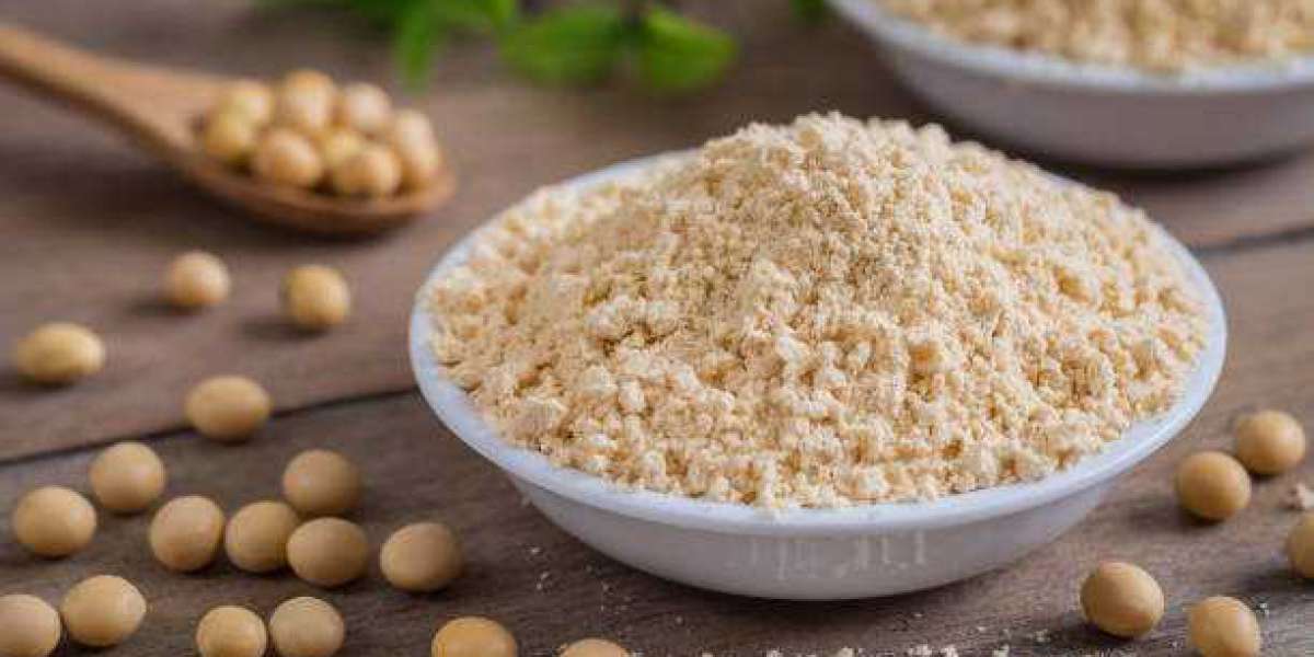 Soy protein ingredients Market Outlook Size, Share, Sales, and Regional Analysis Report