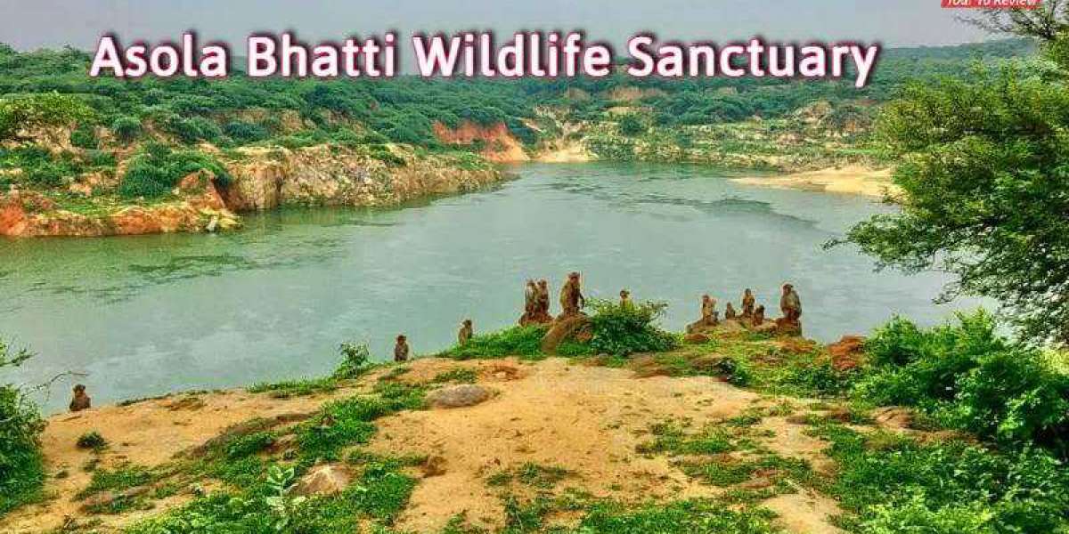 Asola Bhatti Wildlife Sanctuary: A Serene Escape into Delhi's Natural Haven
