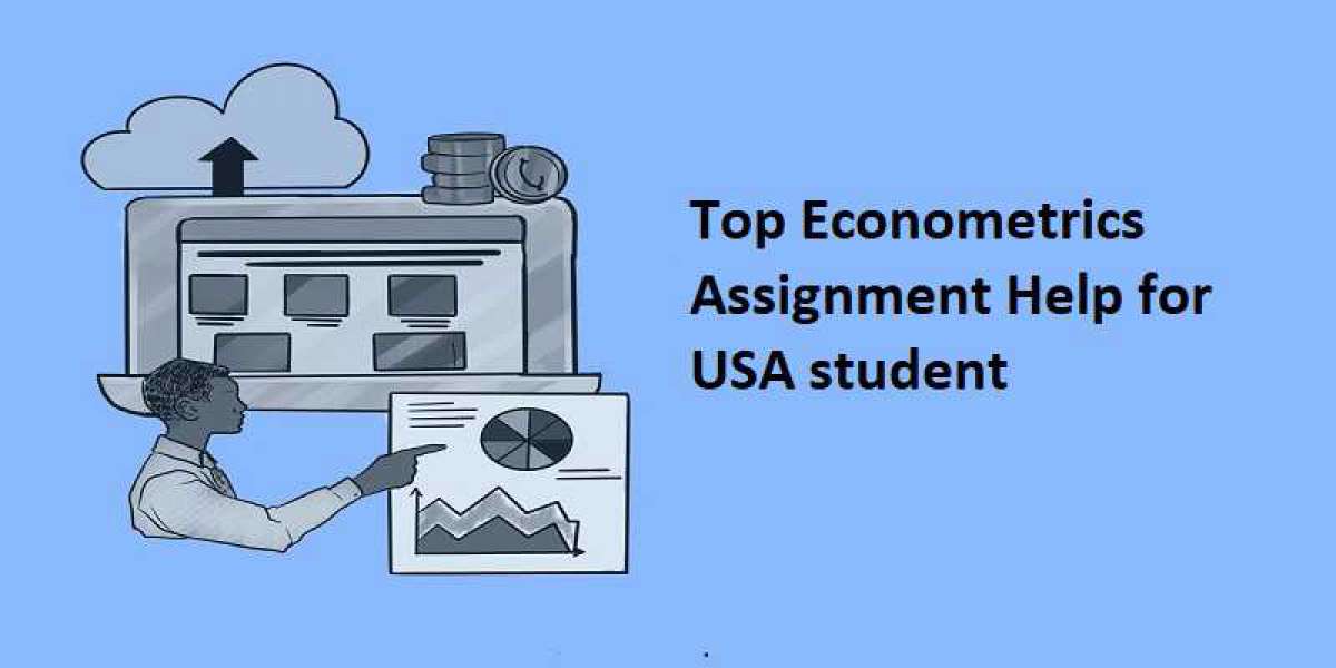 Top Econometrics Assignment Help for USA student