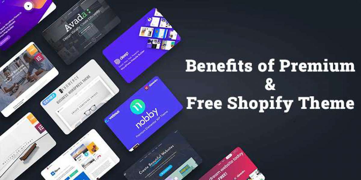 The difference between affordable and premium Shopify themes