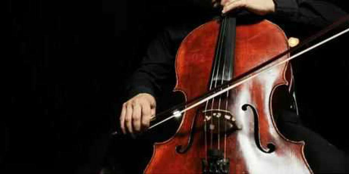 Violin Lessons with Music & Dance Academy