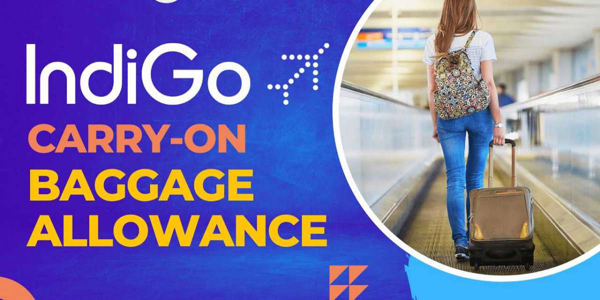 Indigo Baggage Allowance