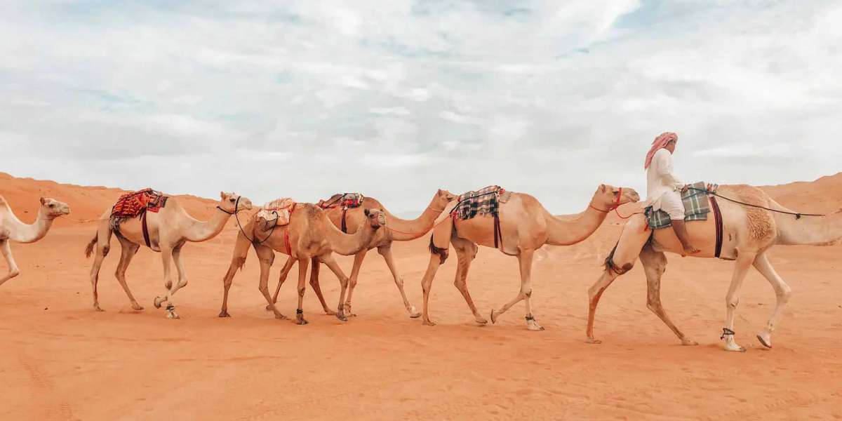 Camels to Crafts: Celebrating Oman's Cultural Festivals