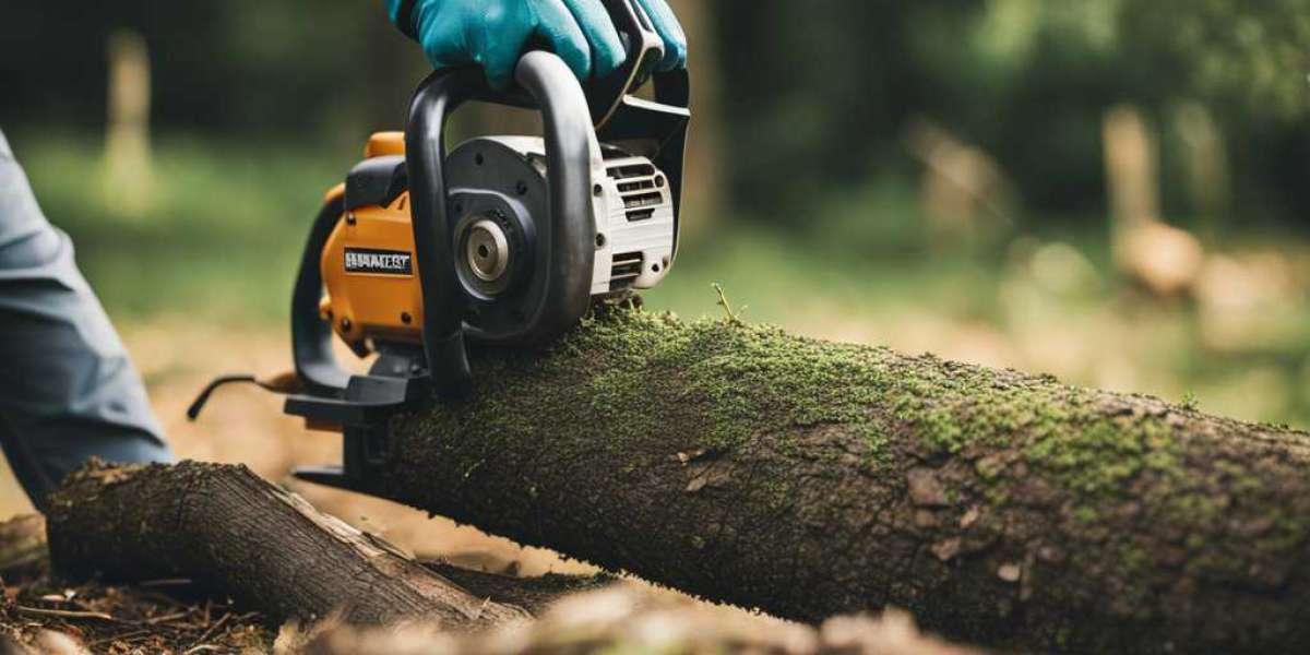 Emergency Tree Removal in Geelong: Urgent Services