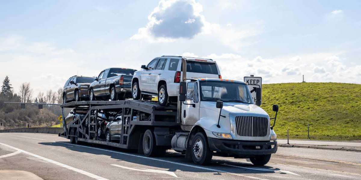 Safeeds: Delivering Excellence in Transportation Services