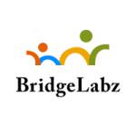 bridgelabz Profile Picture