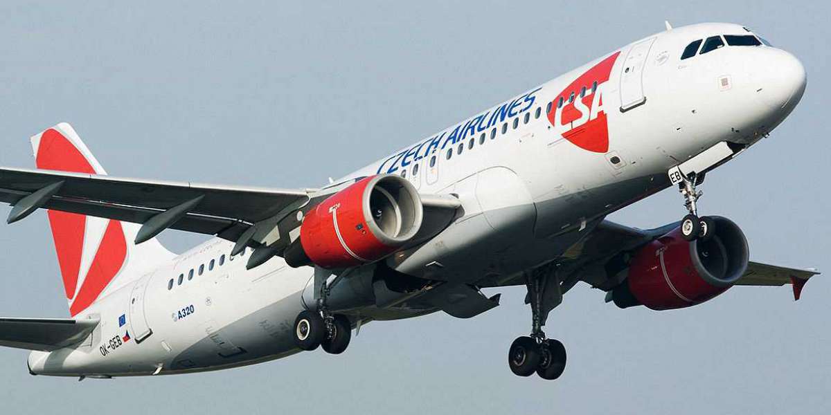 Consejos para Viajar con Czech Airlines: Equipaje de Mano, Facturado y Especial