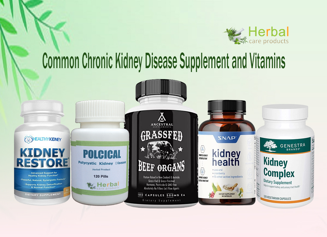 Best Kidney Health Supplements to Support Optimal Functioning - Natural Health News