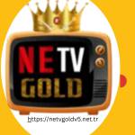Netv Gold V6 Profile Picture