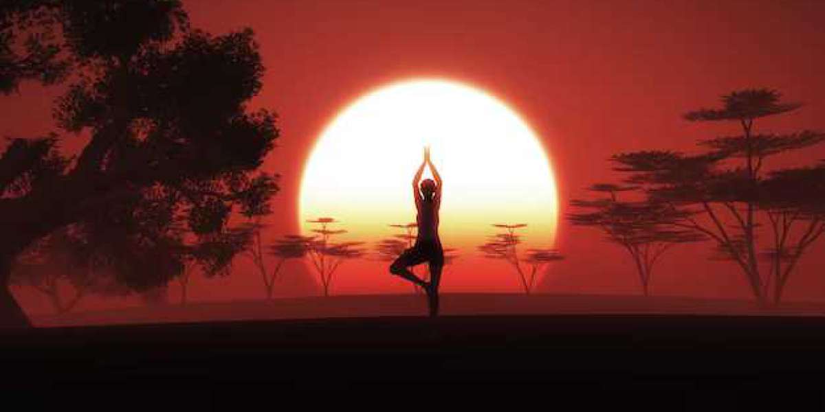 Unlocking Wellness: A Journey to Health through Yoga Asanas
