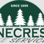 services pinecresttree Profile Picture