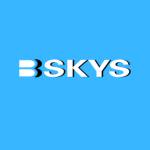 Bskys Toys Profile Picture