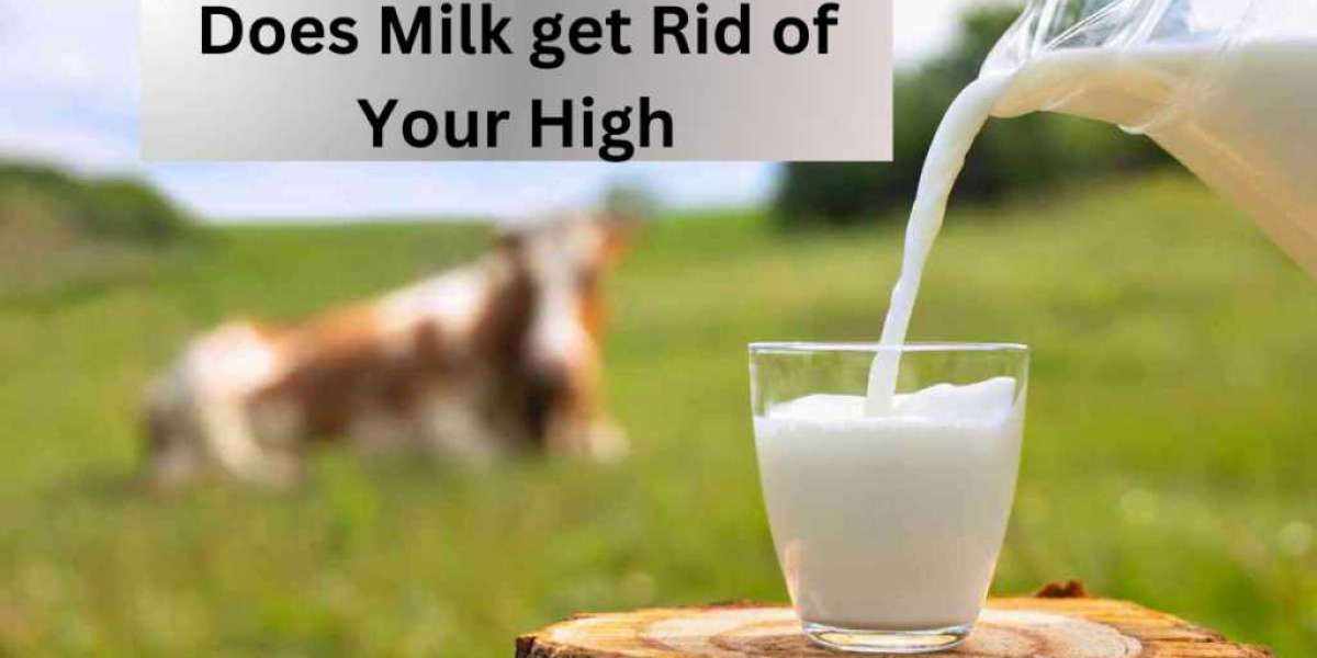 Exploring the Myth: Can Milk Really Sober You Up?