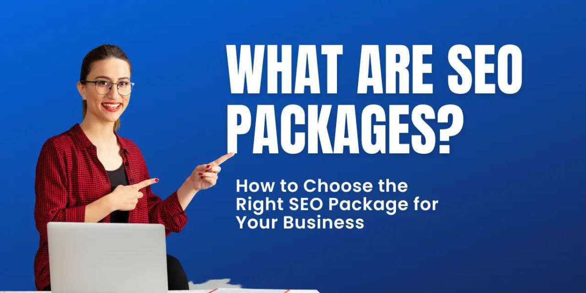 Which SEO package suits your business needs?