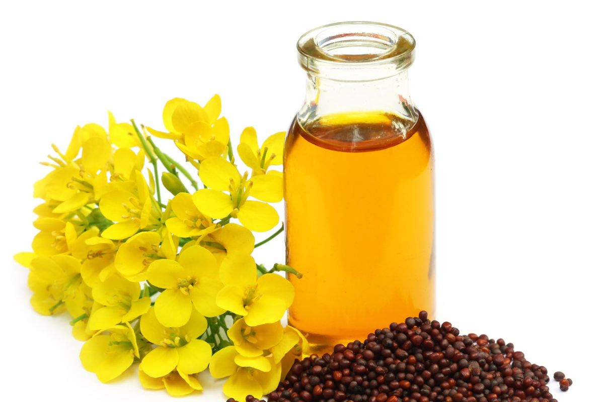Unlock the Health Benefits of Yellow Mustard Seed Oil: A Comprehensive Guide