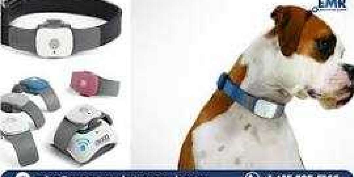 Pet Wearable Market: Size, Share, Trends, and Forecast Analysis 2021-2030