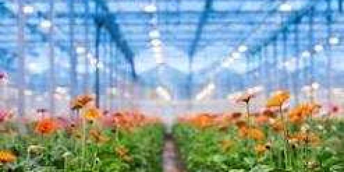 Global Horticulture Lighting Market: Size, Share, Trends, and Forecast Analysis (2021-2030)