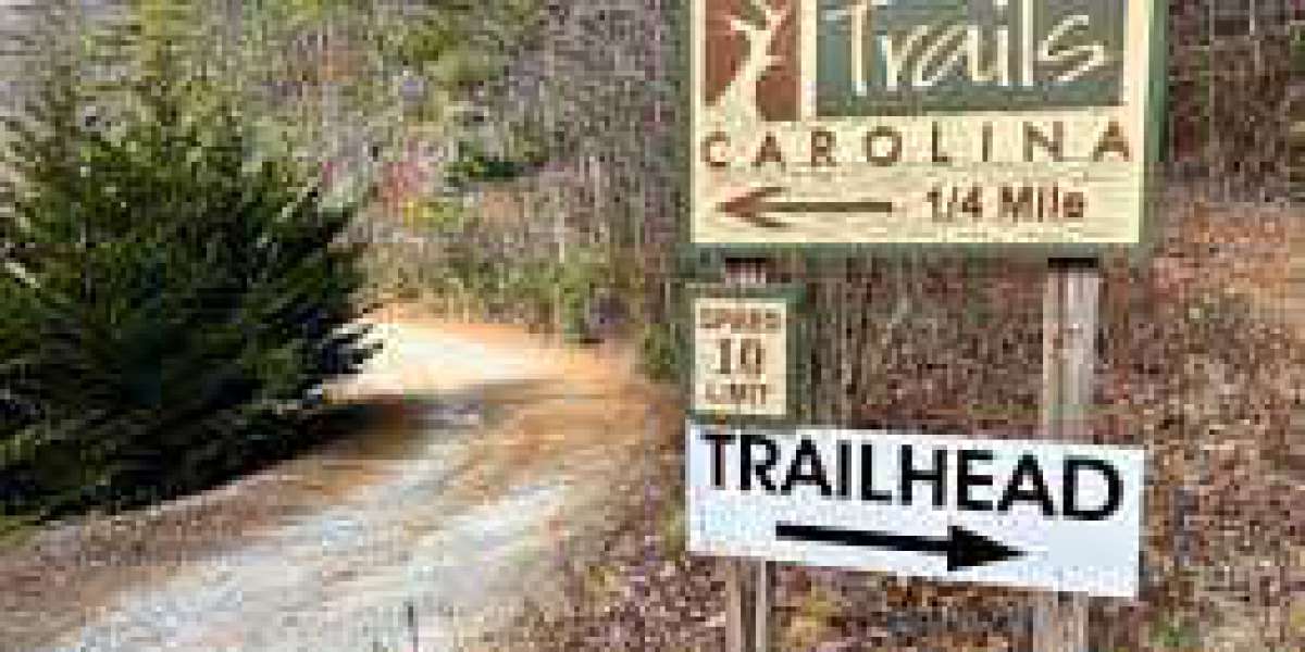 Into the Wilderness: Investigating Trails Carolina's Fatal Incident