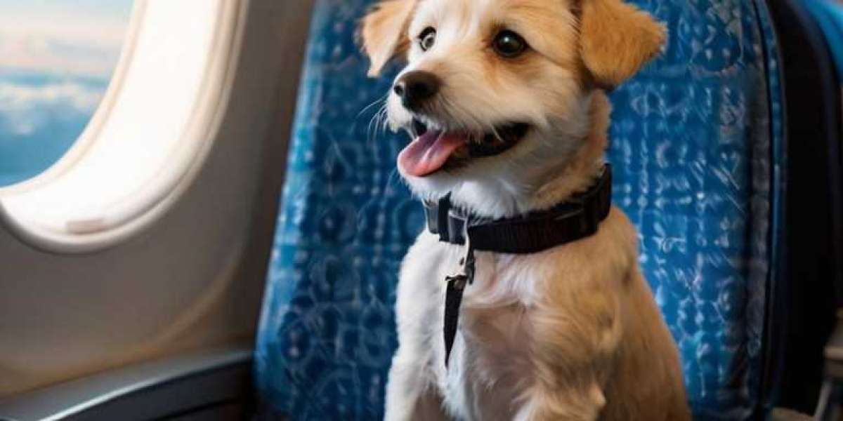 How Much Does It Cost for a Dog to Fly on Southwest?