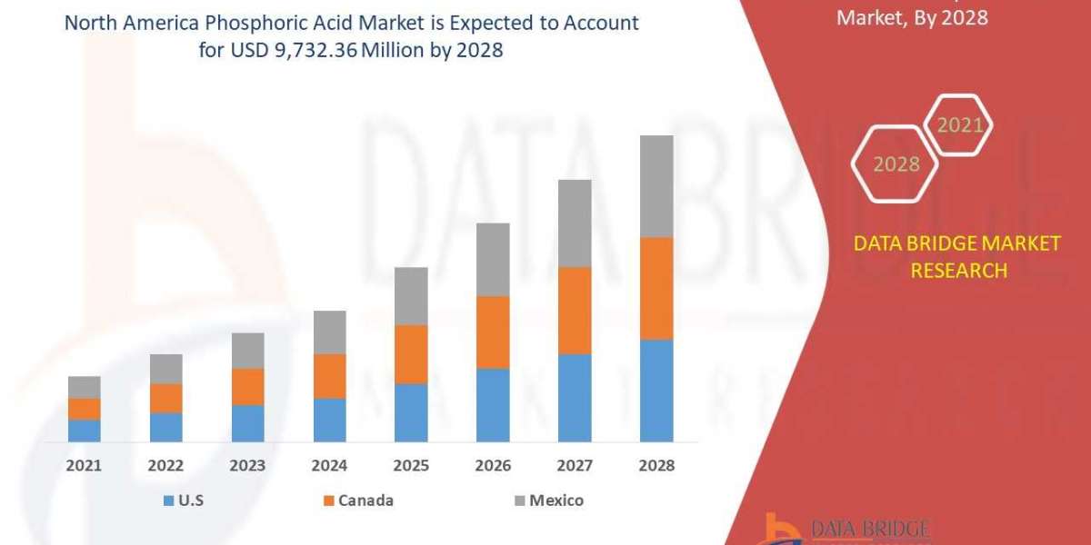 North America Phosphoric Acid Market Overview, Segmentation, And Growth Strategies  2028