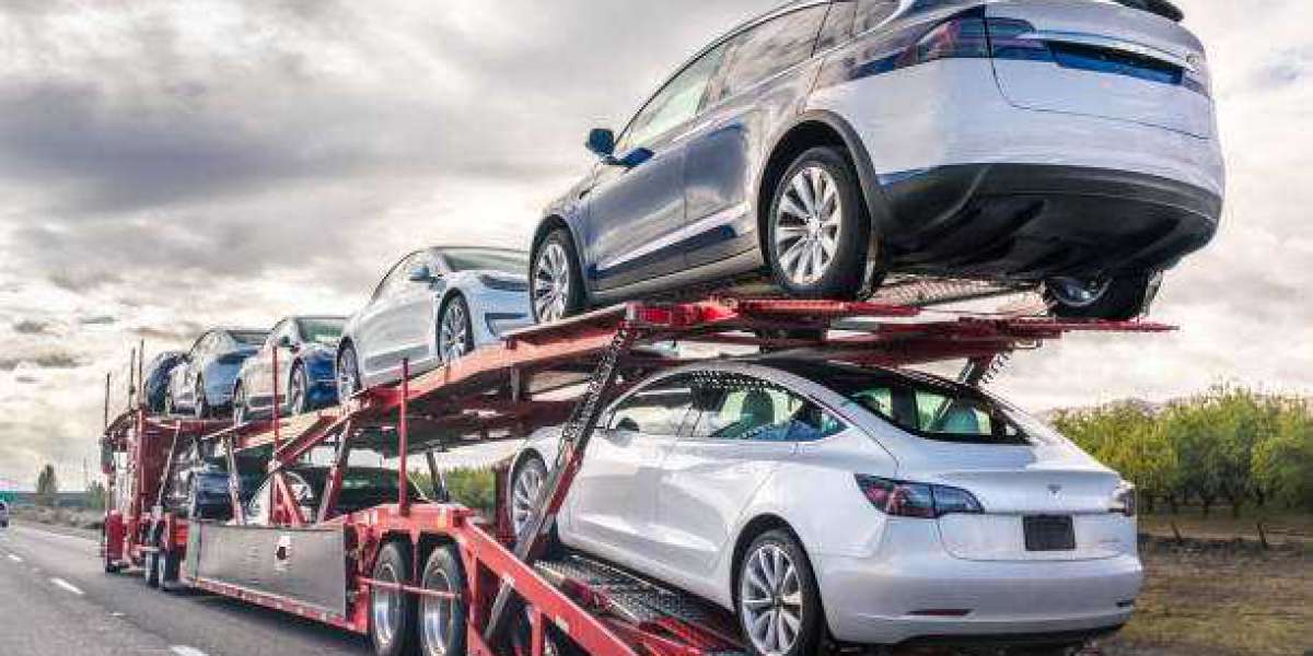 What are common challenges faced by car transport services?