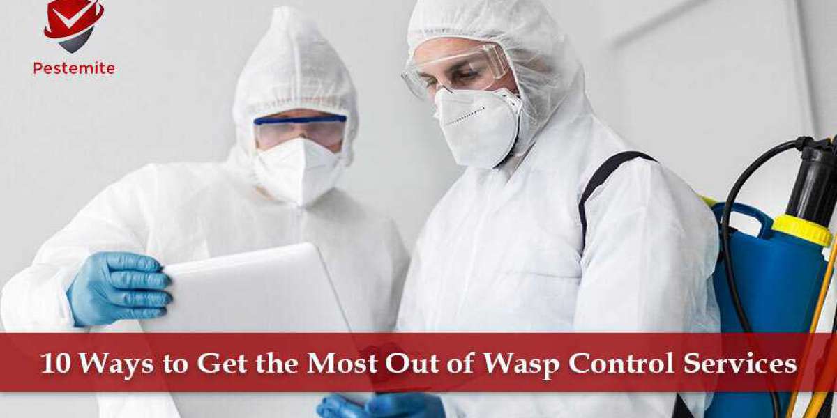10 Ways to Get the Most Out of Wasp Control Services