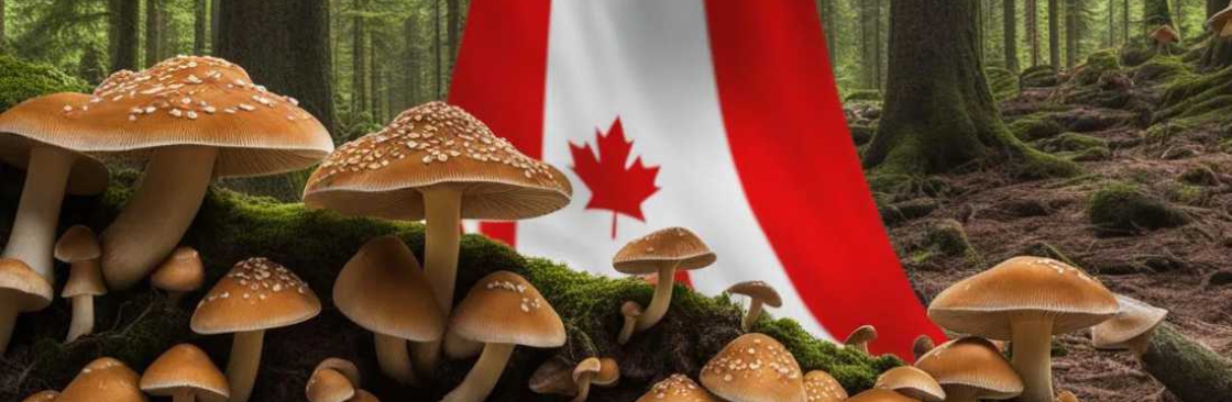 Organic Shroom Canada Cover Image