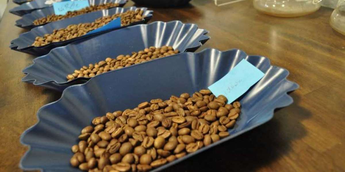 Elevate Your Brand with Custom Coffee Sample Trays