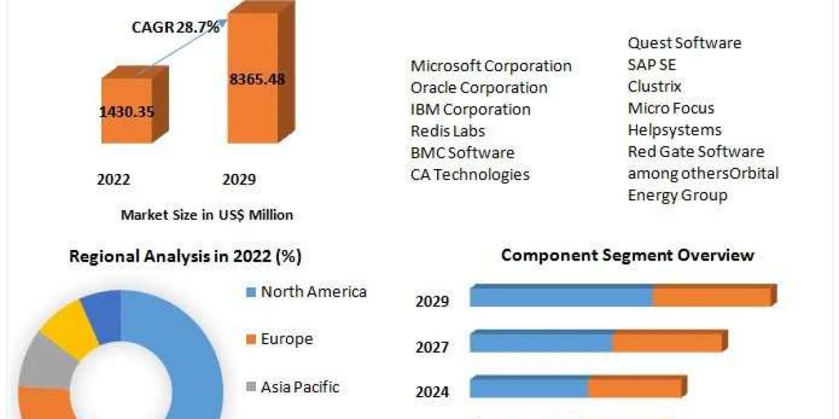 Database Automation Market Business Strategies, Revenue and Growth Rate Upto 2029