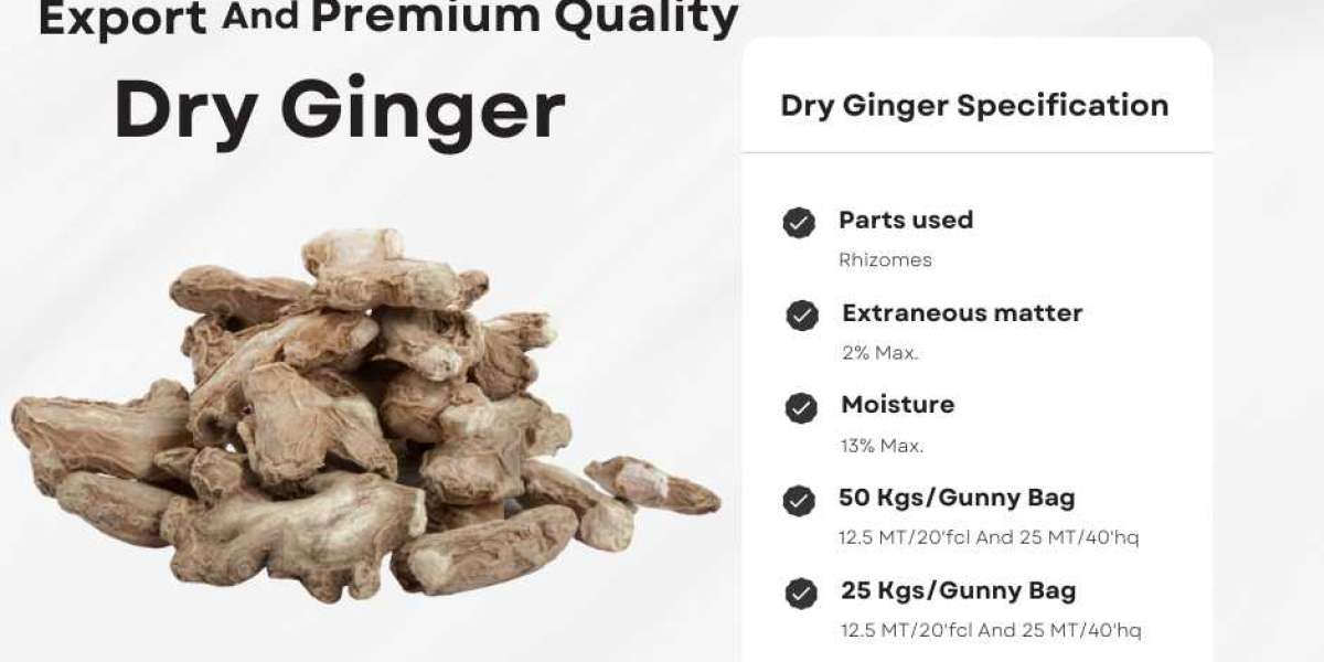 Organic Quality Dry Ginger Supplier, Wholesalers From India- 2024