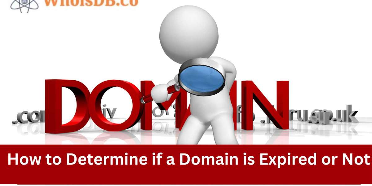 How to Determine if a Domain is Expired or Not: A Comprehensive Guide