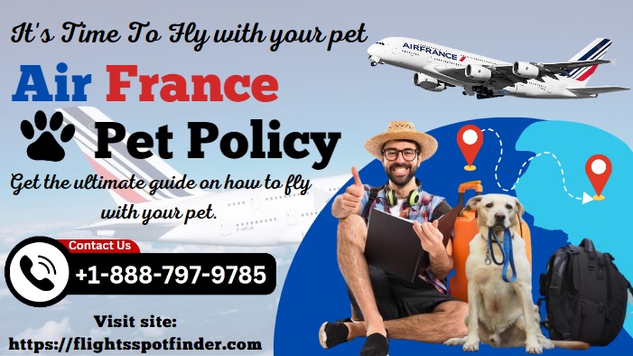 Air France Pet Policy | Travel With Your Pet | Fly With Dog & Cat