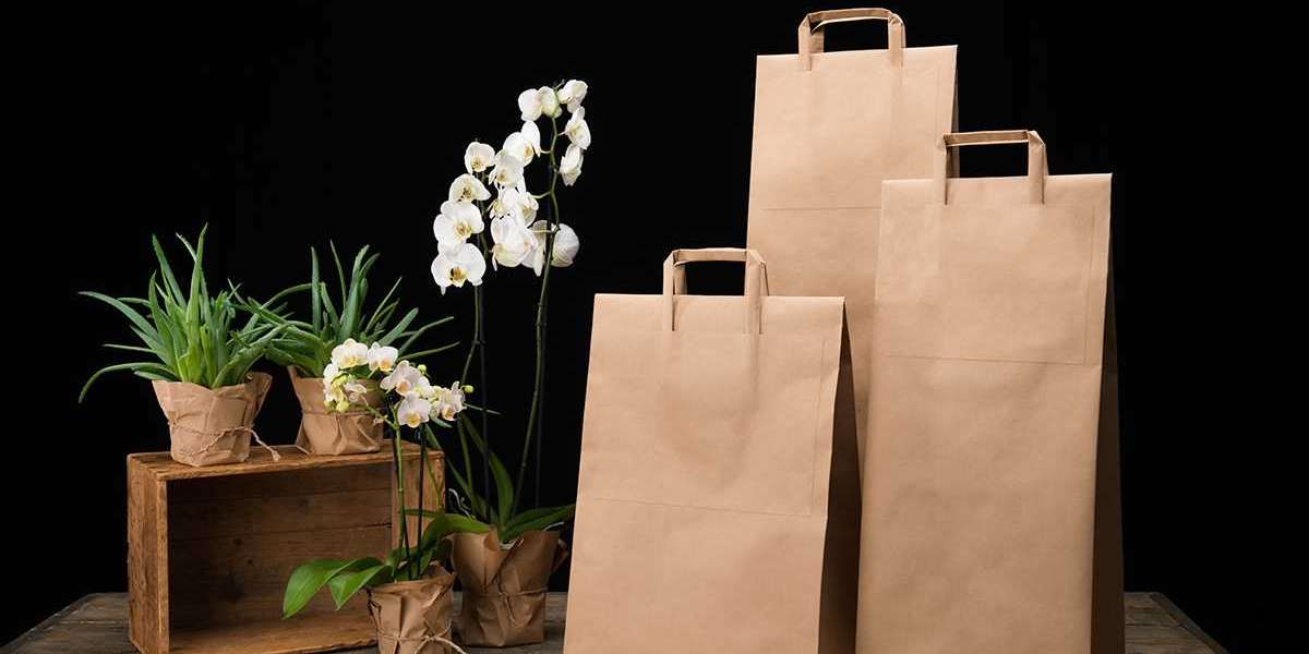 The Foodservice Paper Bags Market Booming on Eco-Consciousness and Takeout Trends | FMI