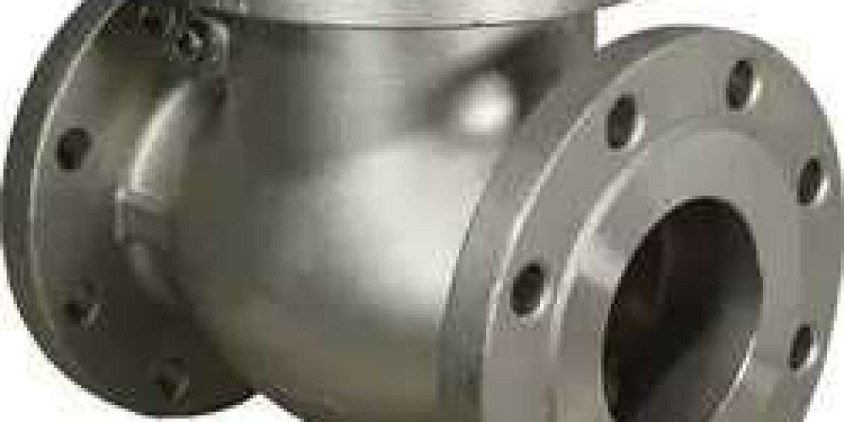 Alloy 20 Swing Check Valve Manufacturer In India