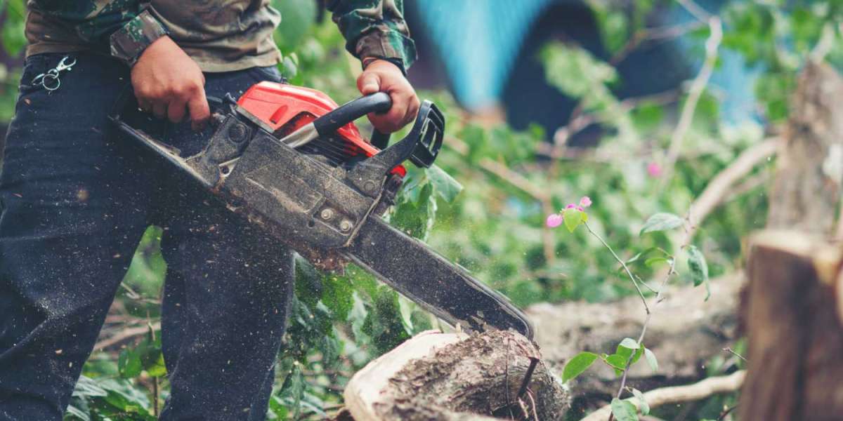 Expert Tree Pros: Top Choice for Frederick, MD Tree Removal