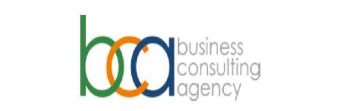 Business Consulting Agency Cover Image