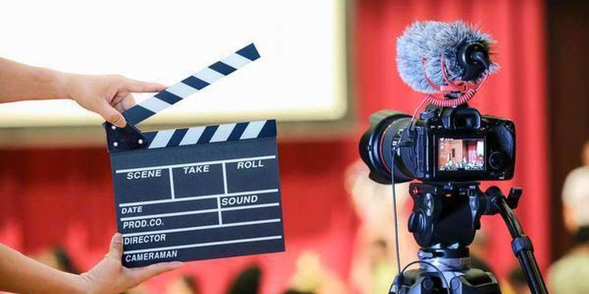 Lights, Camera, Action: Your On line Hub to View Films