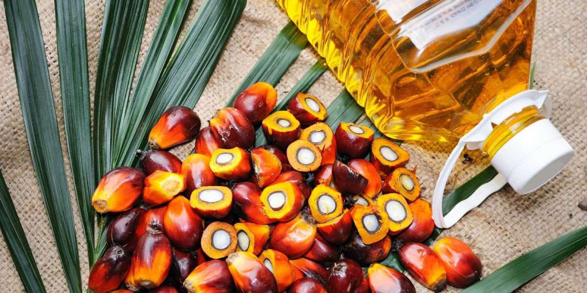 Palm Kernel Manufacturing Plant Project Report 2024 | Report by IMARC Group