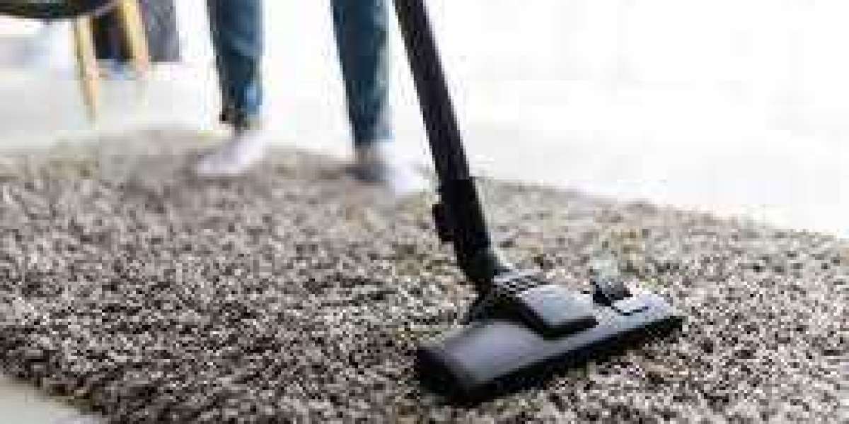 Beyond Vacuuming: Exploring the Necessity of Professional Carpet Cleaning