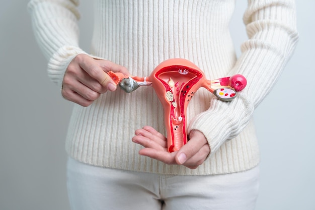 Understanding the Connection Between Infertility and Fibroids - World News Fox