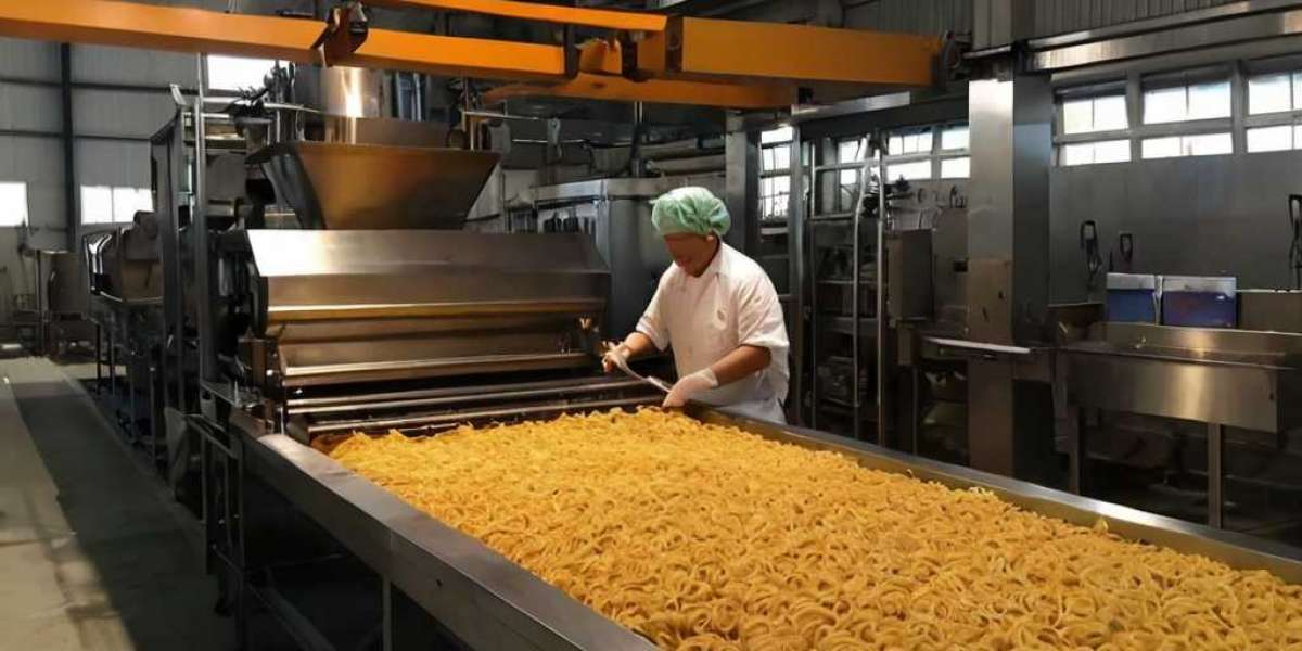 Instant Noodles Manufacturing  Plant Project Report 2024: Business Plan and Raw Material Requirements