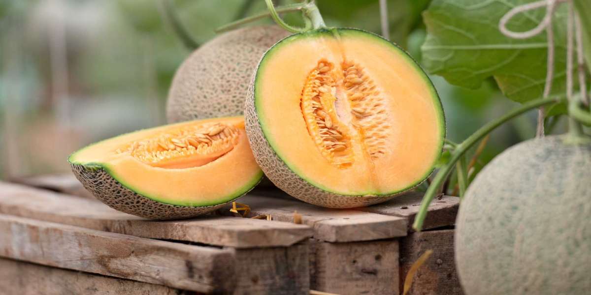 Advantages Of Cantaloupe or Garma Fruit.