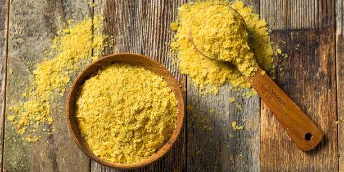 Mexico Organic Cheese Powder Market Value, CAGR, Outlook, Analysis, Latest Updates, Data, and News 2030