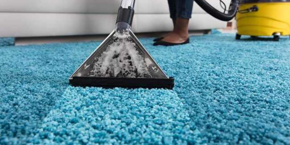 Protect Your Investment: Professional Carpet Cleaning for Homeowners
