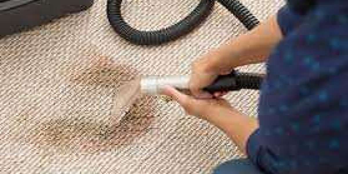 Breathe Freely: Carpet Cleaning Role in Allergen Management