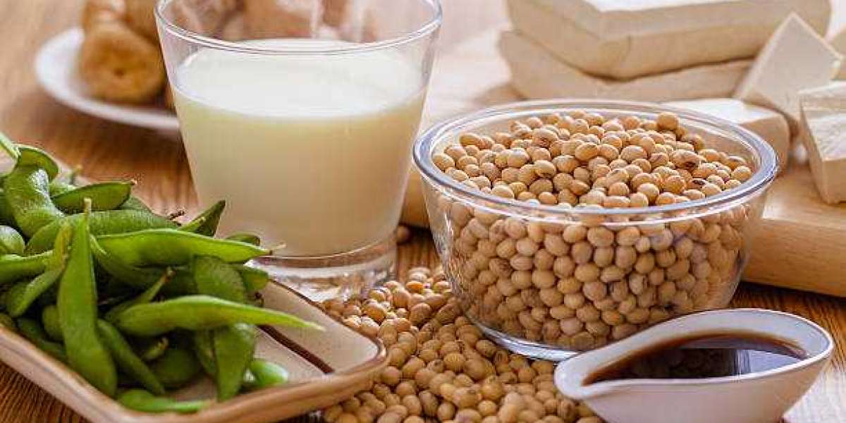 Germany Soy Food Market Trends, Size, Share, Industry Analysis and Forecast 2032