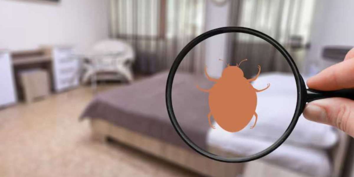 What Are the Most Effective Bed Bug Treatments in Singapore?