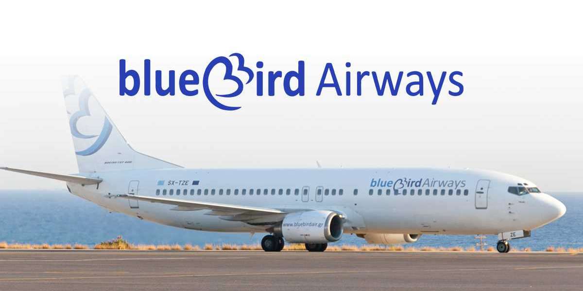 blue bird airways add baggage