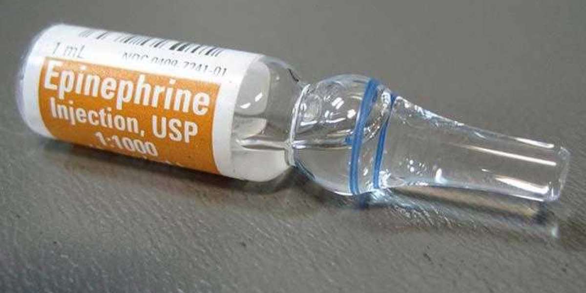 Epinephrine Market Size, Share, Trend and Forecast till 2031